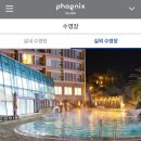 휘닉스 실외수영장 | 투숙객 무료! 10개월 아이와 휘닉스 아일랜드 제주 사계절온수풀 수영장 이용 후기(실내,실외온수풀)