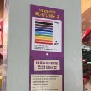 구로디지털단지 놀거리 초보부터 고수 클라이머까지 만족한 서울숲 클라이밍 구로점 이용 후기