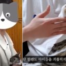 원장목장 이미지