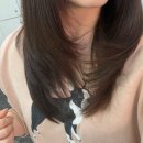 하이커머스랩 | 창원 도화헤어 상남점 태린부원장 레이어드컷 후기
