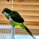 토황민박 이미지