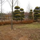 안산 식물원 이미지