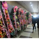 한국춘란 전시회 이미지