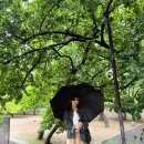 다온 | 전주 숙소 다온 호텔 후기 가성비 호캉스 추천 내돈내산