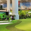 월드스타스크린골프 이미지