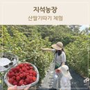 지석농장 이미지