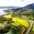 예당호느린호수길 이미지