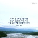 축복 Daum카페
