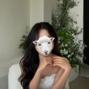 영신상사 이미지