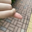 태호바이오 | 6월 1주