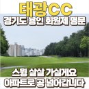 태광 | 태광CC 라운딩 후기/ 그린피, 회원권 매매가격, 주변맛집까지 총정리 (feat.부쉬넬 프로 xm)