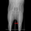 인제종합동물병원 이미지