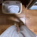 건강지킴이안마원 이미지