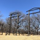 자인계정숲(씨름장) 이미지