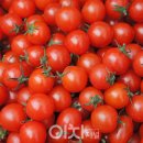 올스타축산 이미지
