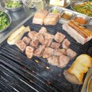 스누피 애견 이미지