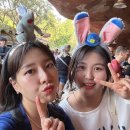 팅커벨 | [와이낫 걸즈의 La 2일차 ] 디즈니랜드 솔직후기 🏰