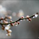 인천인라인