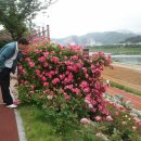 오십천둔치 이미지