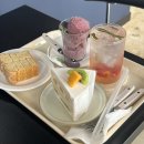 강릉 신상카페 : 커피아워 최애 카페 등극.. 대만족 후기