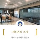 법인깨비농장 이미지