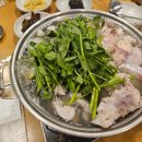 [속초여행] 속초 맛집 후기 ㅣ속초 생대구 / 아바이마을 단천식당 순대국밥 / 추필여국시 / 내돈내산