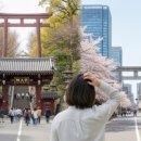 최강에듀학원 | 와세다에듀, '대학 입시'만 준비하는 곳인 줄 아셨나요? (사실은 '취업 치트키'입니다)