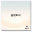 종로-신교-종로-신-052 | 종묘사직 뜻부터 종묘상 창업 지역 종묘사까지 깔끔 정리