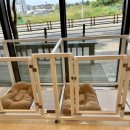 도그뷰티 이미지