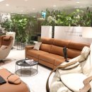 세라젬 롯데백화점 광주점 이미지