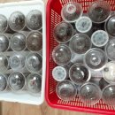 자연(애)장수 이미지