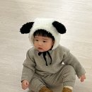베베삼촌 | [겨울 아기 모자] 귀여운 아기 동물 양모자_디어메모리즈 베베쉽 퍼 보넷