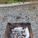 추암오토캠핑장 이미지