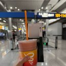 대빵하우스 | 홍콩 여자혼자 여행 D+1 | ✈️홍콩익스프레스 비추 후기, 침사추이 탐방기(서구룡문화지구, 엠플러스...