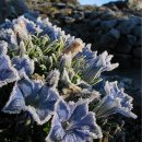 천리환경 이미지