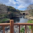 사계올레 이미지