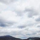 프란쓰 이미지