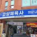 고양체육사 - 고양시 일산서구 일청로 14 | 고양체육사