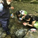 화당초등학교 이미지