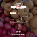 은성청과