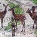 서울숲6 이미지