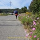 용연2통마을회관 이미지