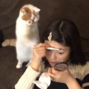 우당탕탕후루 네이버블로그