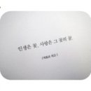 신사동아구찜 이미지