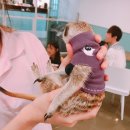 미어켓파크 이미지