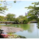 중리천로113번길 이미지