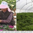 똑순이푸드 이미지