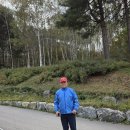 10월 설악산 단풍여행 사진 (2) 오색과 원대리 자작나무 숲에서 이미지