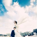 이호스튜디오 이미지