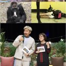 케어랜드 이미지